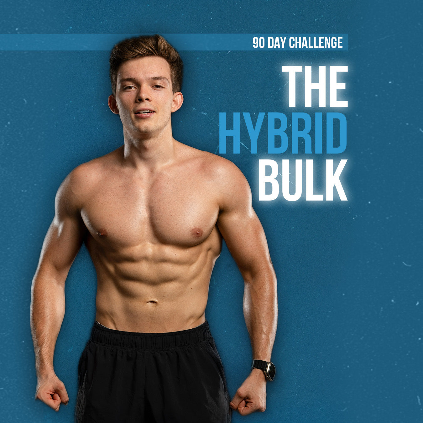 The Hybrid Bulk